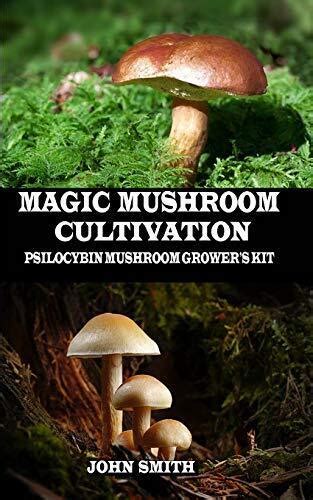 Common Mistakes to Avoid When Using Magic Mushroom Grow Kits from eBay